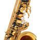 Саксофон Selmer Signature Alto Sax SE-ASIB