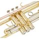 Труба Thomann TR 200 Bb-Trumpet