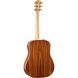 Акустична гітара Taylor 210e-SB DLX