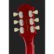 Електрогітара Epiphone Nancy Wilson Fanatic Fireburst