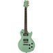 Електрогітара Harley Benton Agufish STD Signature SFG