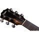 Акустична гітара Taylor 210e-SB DLX