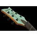Електрогітара Harley Benton Agufish STD Signature SFG