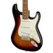 Fender Player Series Stratocaster PF 3TS