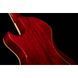 Електрогітара Epiphone Nancy Wilson Fanatic Fireburst