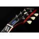 Електрогітара Epiphone Nancy Wilson Fanatic Fireburst