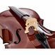 Виолончель Stentor SR1102 Cello Student I 1/4