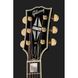 Акустична гітара Gibson Hummingbird Custom
