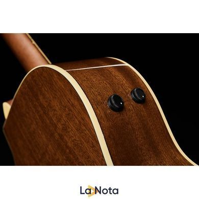 Акустична гітара Fender Newporter Player Sunburst WN