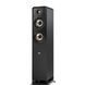 Акустическая пара Polk Audio Signature S 50e Black