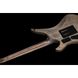 Електрогітара Schecter Apocalypse Avenger FR S RR