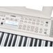Синтезатор Yamaha EZ-310