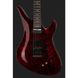 Електрогитара Schecter Apocalypse Avenger FR S RR