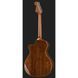 Акустична гітара Fender Newporter Player Sunburst WN