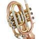 Труба Thomann TR 25G Bb-Pocket Trumpet