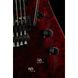 Електрогитара Schecter Apocalypse Avenger FR S RR