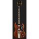 Електрогітара Gibson SG Standard &acute;64 Maestro CH HA