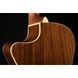 Акустична гітара Fender Newporter Player Sunburst WN
