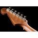 Акустична гітара Fender Newporter Player Sunburst WN