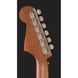 Акустична гітара Fender Newporter Player Sunburst WN