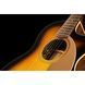 Акустична гітара Fender Newporter Player Sunburst WN