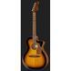 Акустична гітара Fender Newporter Player Sunburst WN