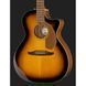 Акустична гітара Fender Newporter Player Sunburst WN