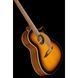 Акустична гітара Fender Newporter Player Sunburst WN