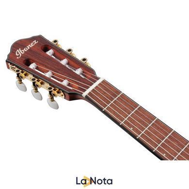 Классическая гитара Ibanez FRH10N-IBF