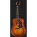 Акустична гітара Gibson Hummingbird Original HCS