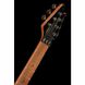 Електрогитара Evh Wolfgang WG Standard Xotic