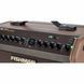 Комбопідсилювач Fishman Loudbox Mini Charge