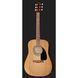 Акустическая гитара Fender FA-115 Dreadnought Pack WN NAT V2