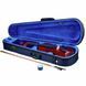 Акустична скрипка Stentor SR1400 Violinset 4/4