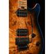 Електрогітара Evh Wolfgang WG Standard Xotic