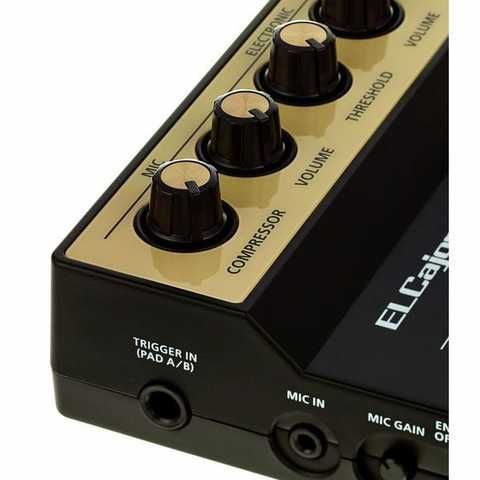 Триггерный модуль Roland EC-10M - LaNota - интернет-магазин