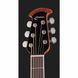 Акустична гітара Ovation Celebrity Elite PlusCE48P-RG-G