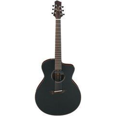 Акустична гітара Ibanez JGM10-BSN Jon Gomm