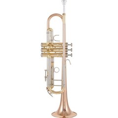 Труба Thomann TR 500 GL Bb-Trumpet