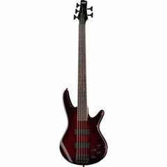 Бас-гітара Ibanez GSR205SM-CNB