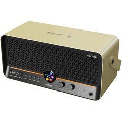 Комбоуcилитель Mooer F40i Li Model. Guitar Combo IG