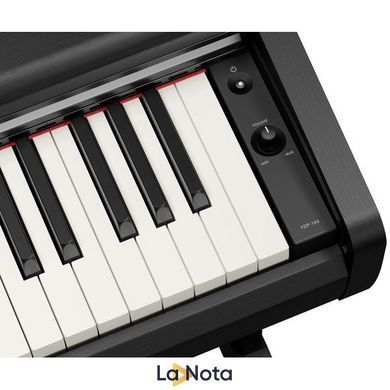 Цифрове піаніно Yamaha YDP-146 B Arius