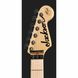 Електрогітара Jackson Adrian Smith SDX MN SW