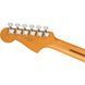 Електрогітара Fender Player Plus Meteora PF FR