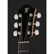 Акустическая гитара Furch Blue Deluxe Gc-SW a