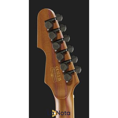 Електрогитара Schecter Avenger Exotic ZN