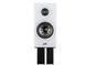 Акустическая пара Polk Audio Reserve R100 White