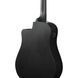 Акустическая гитара Ibanez ALT20-WK