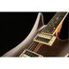 Електрогітара Schecter Avenger Exotic ZN