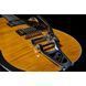 Gretsch G6134TFM-NH Nigel Hendroff AF